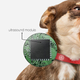 Illustration for article titled This Collar That Reads Pets' Emotions Is a Tech Travesty